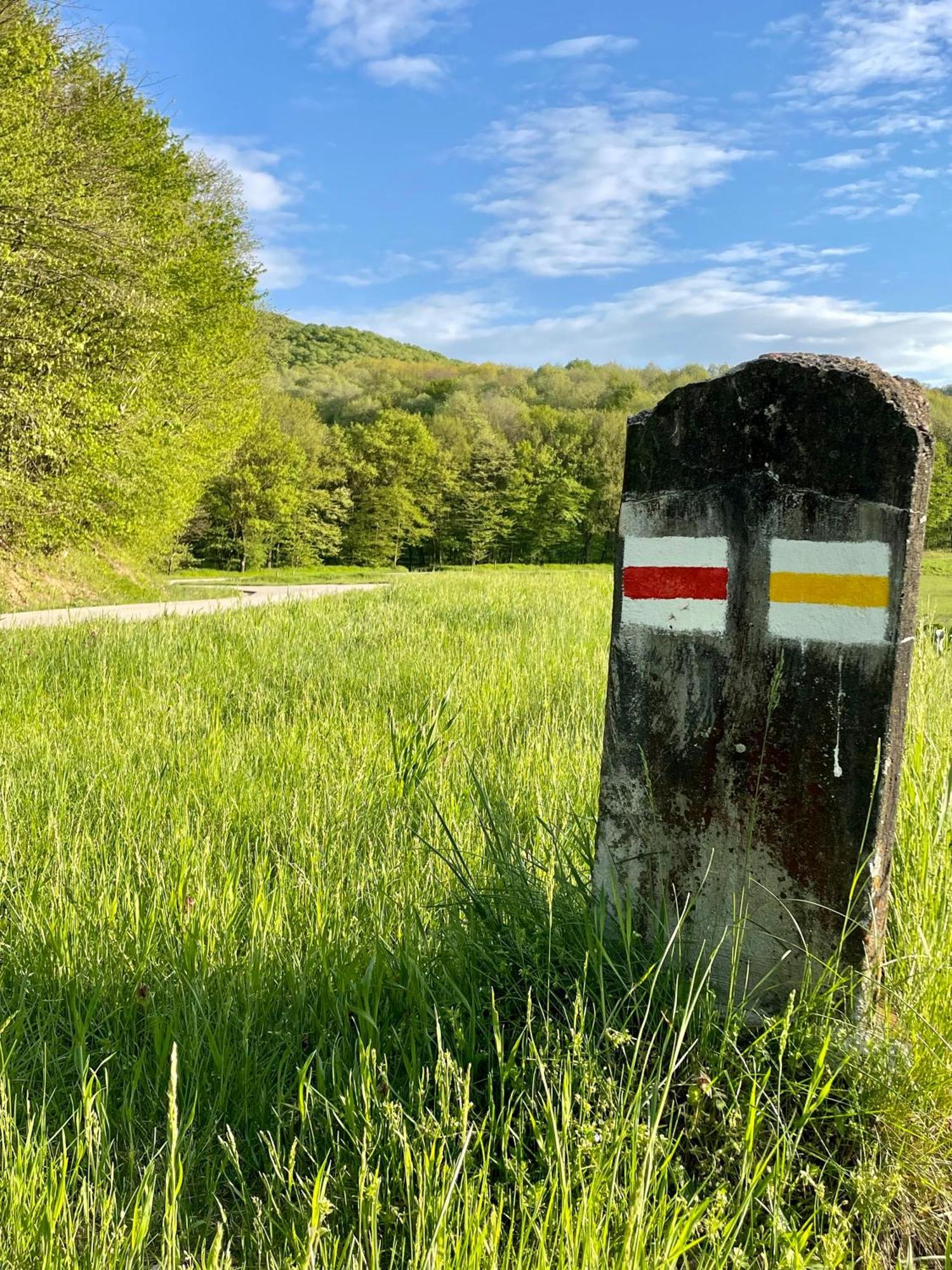 Aliret Vadaszhaz Ságvár Exteriör bild